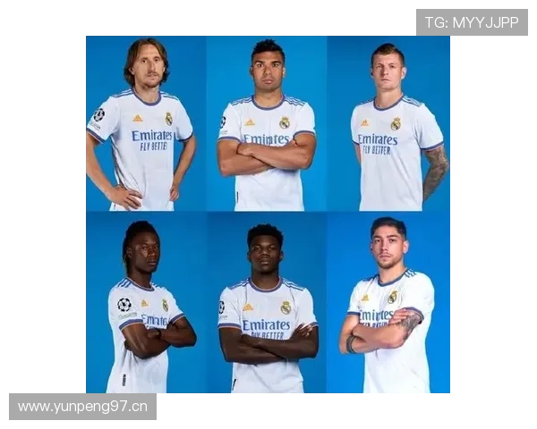 琼阿梅尼战术角色与体系依赖性分析